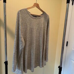 Sparkly silver Lane Bryant long sleeve swing top